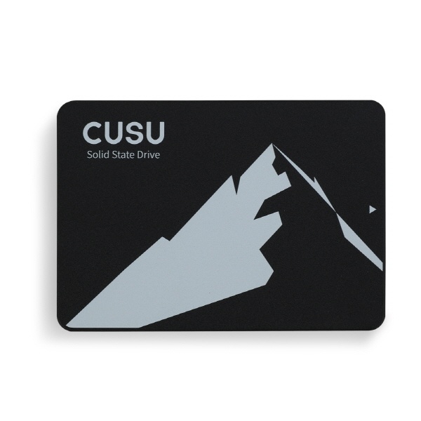 [TWSC] CUSU C300 SATA  [256GB]