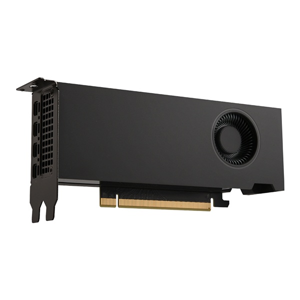 [NVIDIA] RTX 2000 Ada Generation D6 16GB 서린 [벌크]