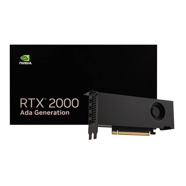 [NVIDIA] RTX 2000 Ada Generation D6 16GB 서린