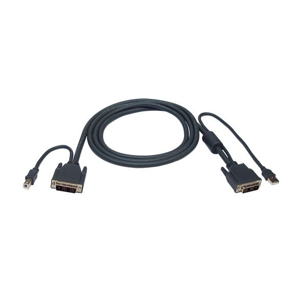 [REXTRON] CBD-300DUT / 3M (DVI+USB)