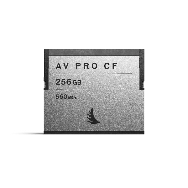 [엔젤버드] 엔젤버드 AV PRO CFast 2.0 SE 256 GB