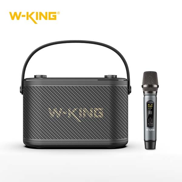 [W-KING] 버스킹 블루투스 스피커 Camigo H10S  [무선마이크 포함]