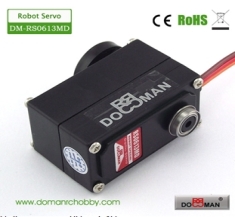 DM-RS0613MD