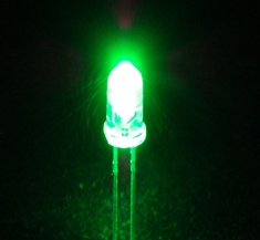 Super Bright Green 5mm LED (25 pack) [300]