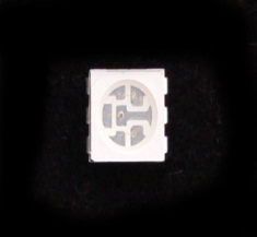 SMT RGB 5050 LED - 10 pack [619]