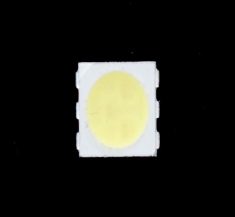 SMT Cool White 5050 LED - 10 pack - 6500-7000K [682]